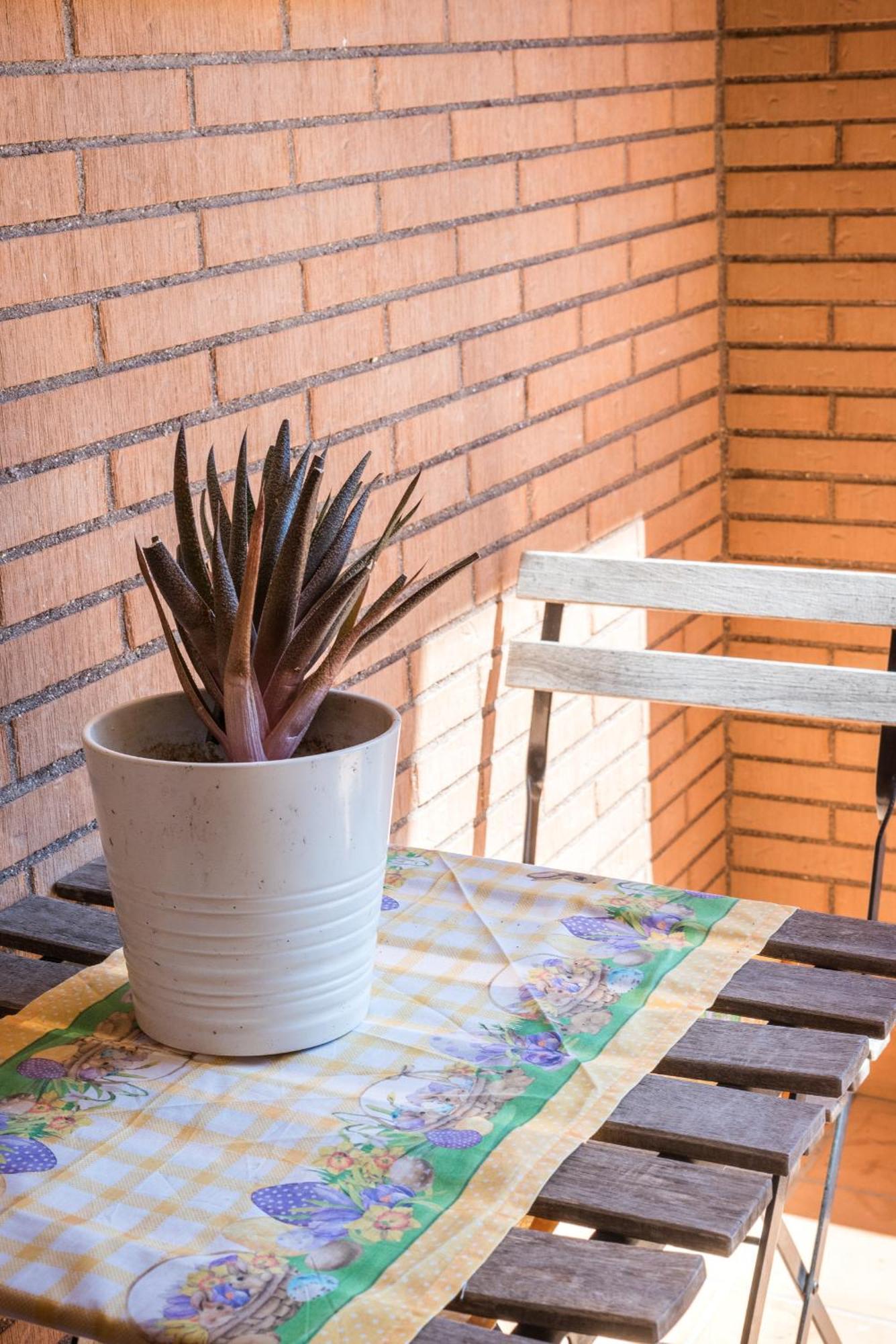 Travelershome Ciampino Suite Exterior foto